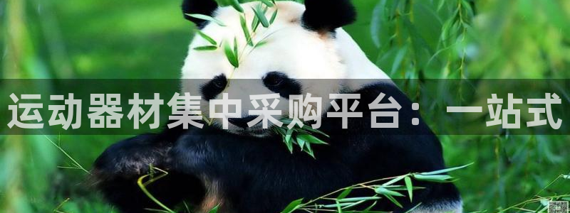 征途国际招商电话号码是多少号:运动器材集中采购平台:一站式