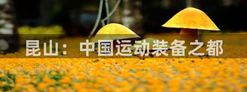 征途国际平台注册流程视频:昆山:中国运动装备之都