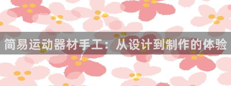 征途国际娱乐代理怎么样:简易运动器材手工:从设计到制作的体验