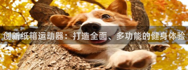 征途国际平台注册:创新纸箱运动器:打造全面、多功能的健身体验